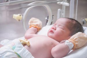 Sữa Cho Bé Sinh Non