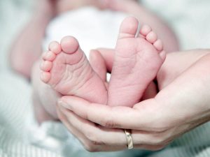 Sữa Cho Bé Sinh Non