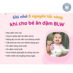 Nguyên tắc áp dụng ăn dặm BLW cho bé 6 tháng