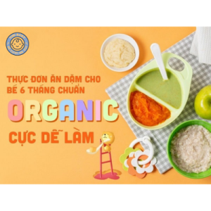 thực đơn ăn dặm cho bé 6 tháng chuẩn organic