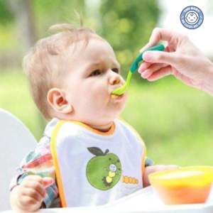 thực đơn ăn dặm cho bé 6 tháng chuẩn organic